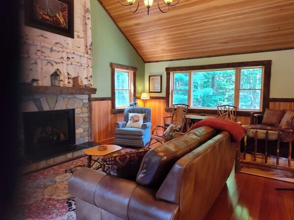 Smart TV, fireplace, DVD player, books