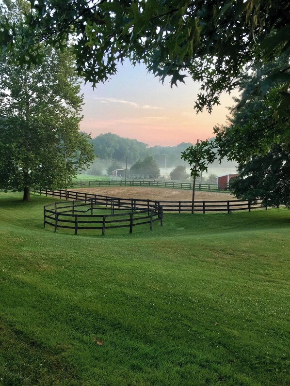 Property grounds - Family vacation on a farm near Washington DC, Baltimore, Gettysburg. (Mt Airy)