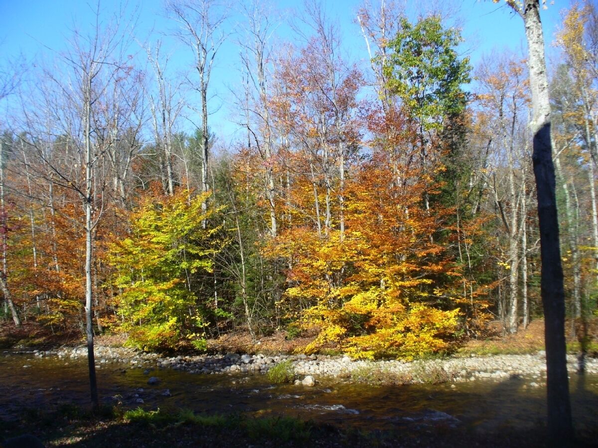 View from deck - fall