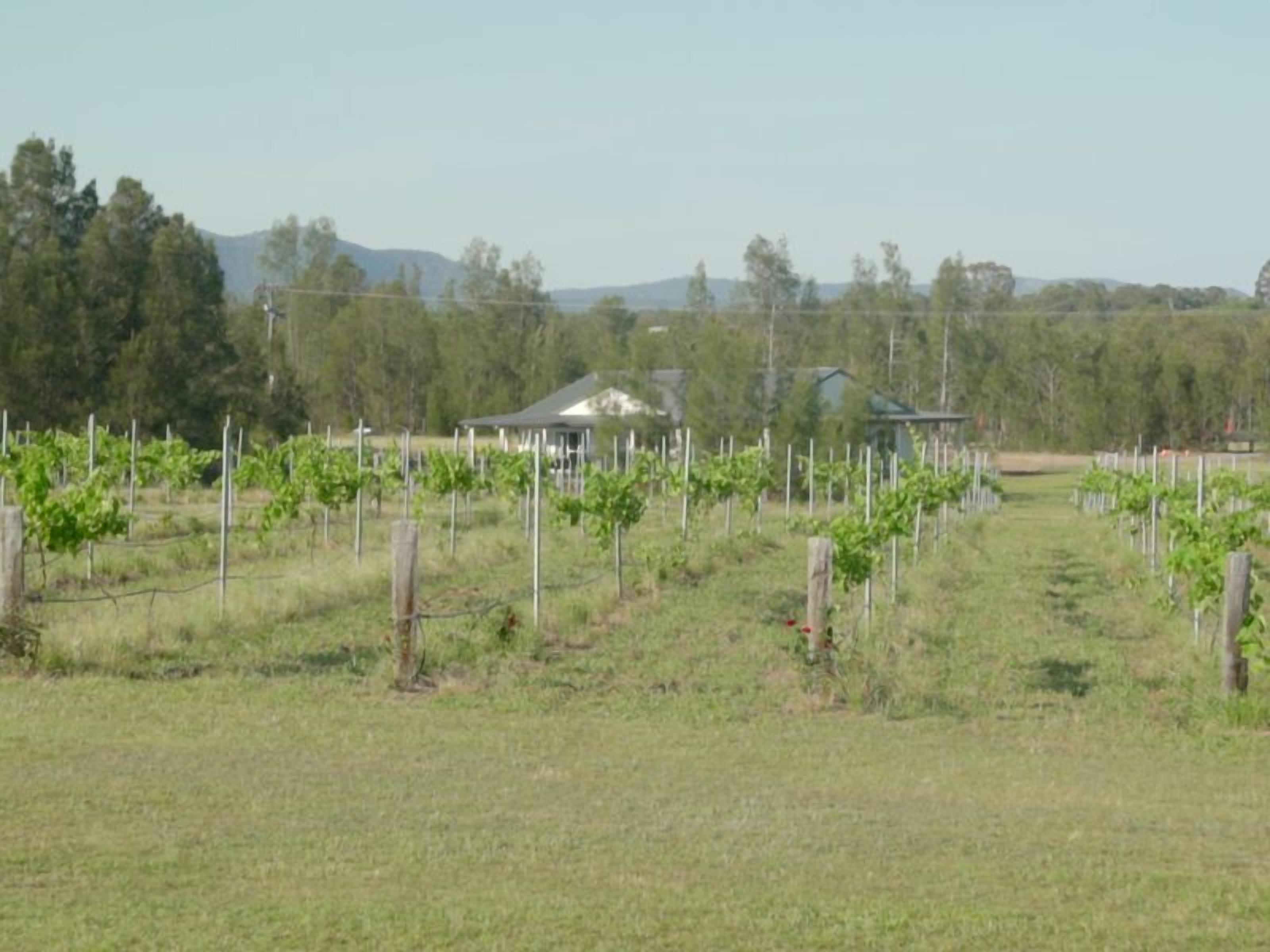 Casa Siena  Hunter Valley 5 king size rooms all with full en-suites. On vineyard — image 20