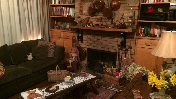 A cozy living room with a fireplace, bookshelves, and a coffee table with fruits and candles.