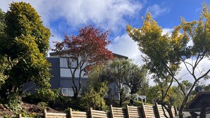 A paved pathway leading to a building with a modern design, surrounded by trees and a wooden fence. - Lake views, boating, skiing and hot pools (Omori)