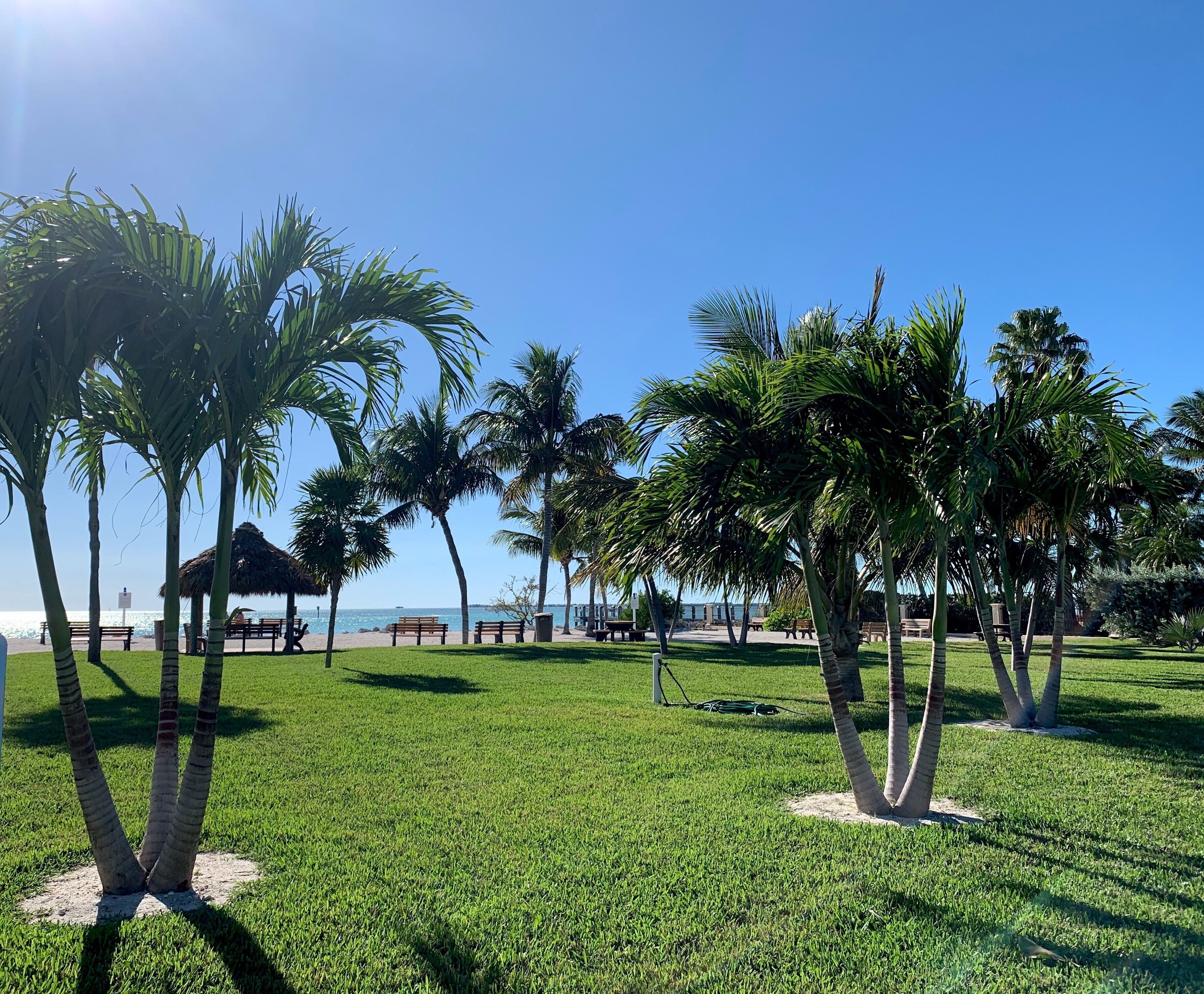 Jardines del alojamiento