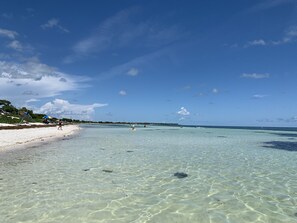 A beach with clear shallow waters, a sandy shore, and a few umbrellas. - KCB-access Private Cabana Club, Dock on Canal, PET Friendly, Pickle ball courts (key colony Beach)