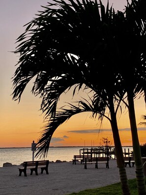 A beach scene with a palm tree, benches, and a calm sea at sunset. - KCB-access Private Cabana Club, Dock on Canal, PET Friendly, Pickle ball courts (key colony Beach)