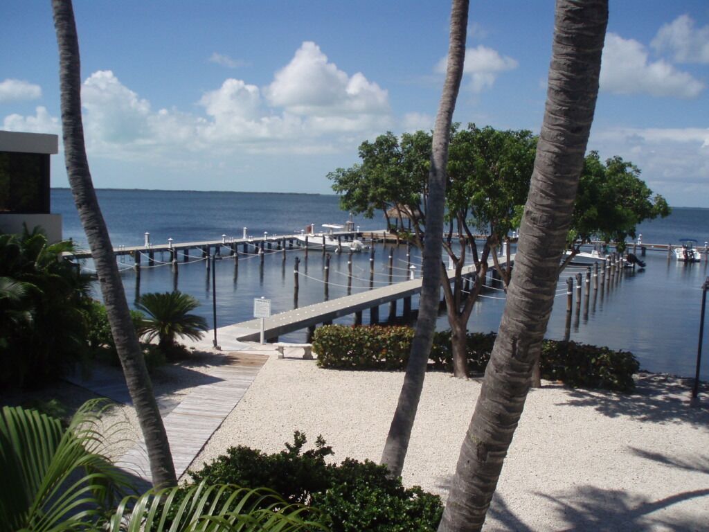 A coastal view with a pier extending into the water, surrounded by palm trees and a clear sky.