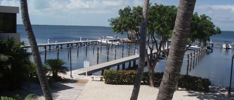 A coastal view with a pier extending into the water, surrounded by palm trees and a clear sky.