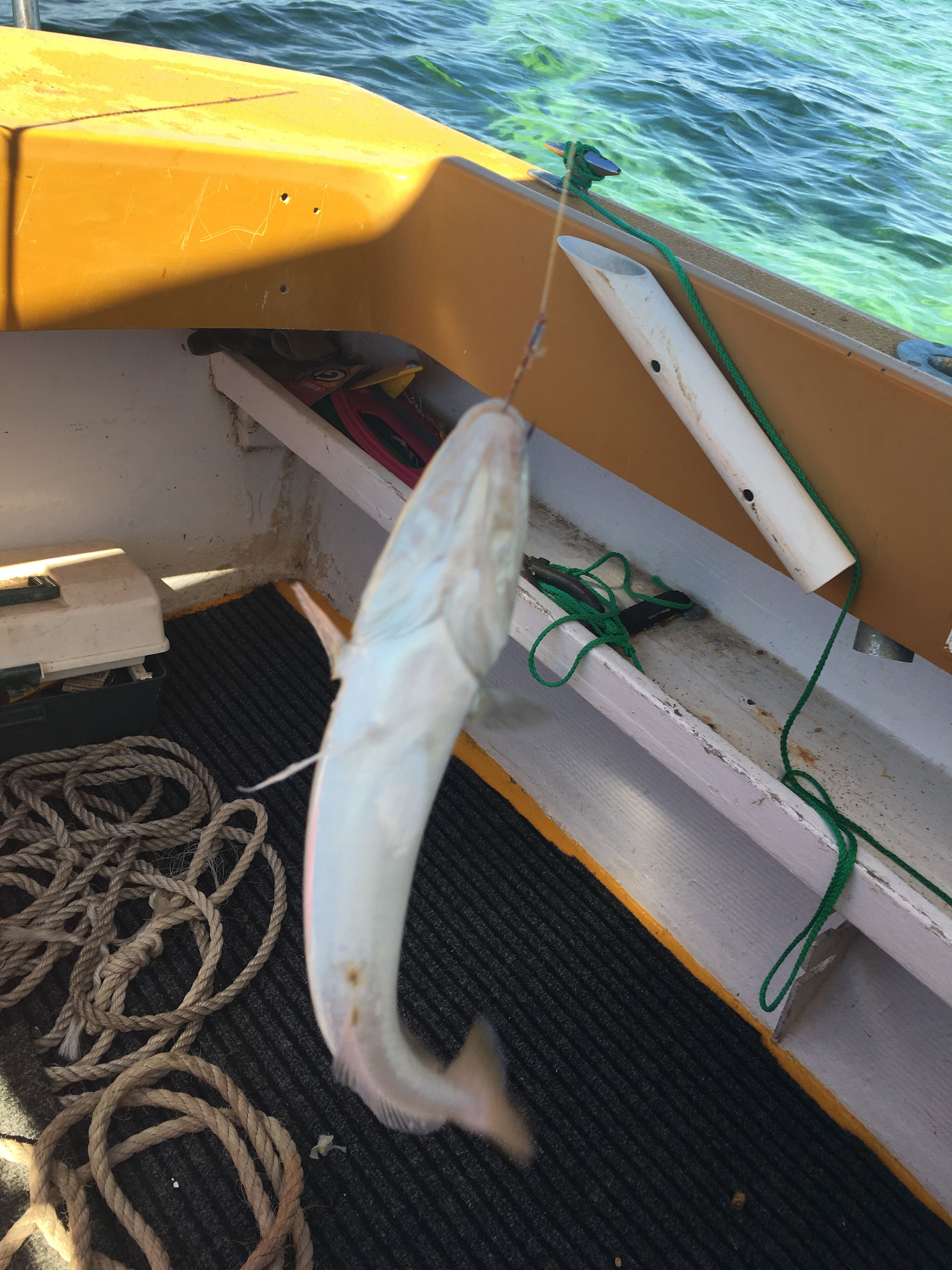 The Only white Beachfront House in pt Broughton - 3 Beds + spa PET Friendly — image 6