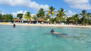 A beachside pool area with clear turquoise water, palm trees, and beach chairs. - Beautiful Ocean Front Condo- The perfect relaxing getaway! Internet, TV. FLR A/C (ST. CROIX)