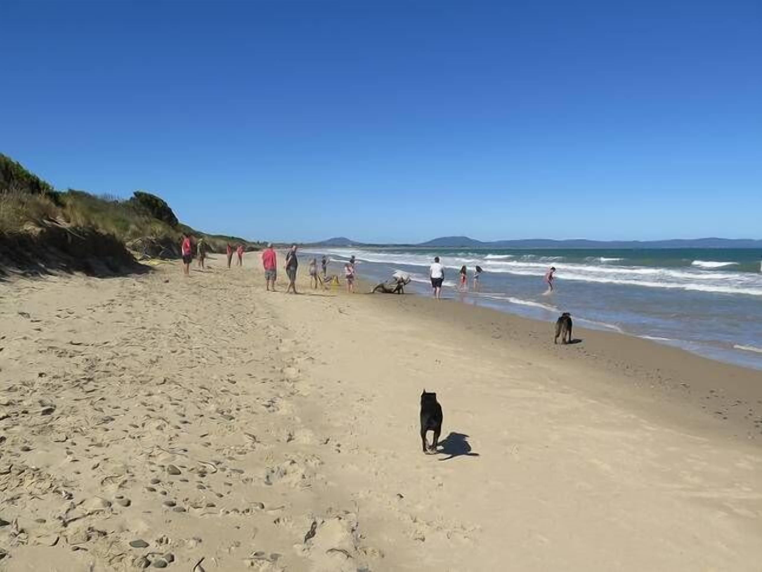 Serenity Beach House Dolphin Sands\nFree late checkout maybe available on request — image 20