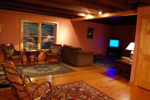Télévision, cheminée, Netflix, lecteur de DVD
