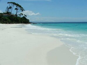 A beach with clear turquoise water, white sand, and a few trees on the left. - The Palm Tree Cottage - Absolute Waterfront - 5 mins to Hyams Beach (Erowal Bay)