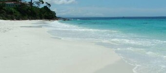 The Palm Tree Cottage - Absolute Waterfront - 5 mins to Hyams Beach