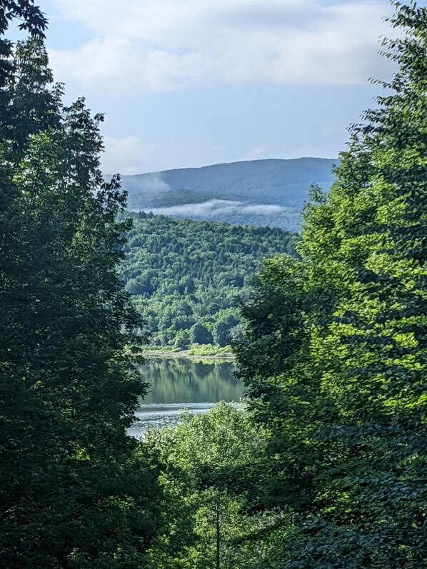 A natural landscape with dense forest, a lake, and distant mountains.