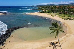 Sun loungers, beach towels - Ocean Front 3 BR, 1 level Condo .   Pool, SPA , huge Lanai .   Pickle Ball (Koloa)
