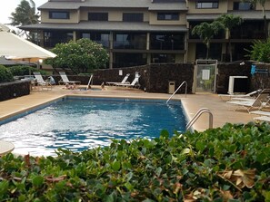 Pool - Ocean Front 3 BR, 1 level Condo .   Pool, SPA , huge Lanai .   Pickle Ball (Koloa)