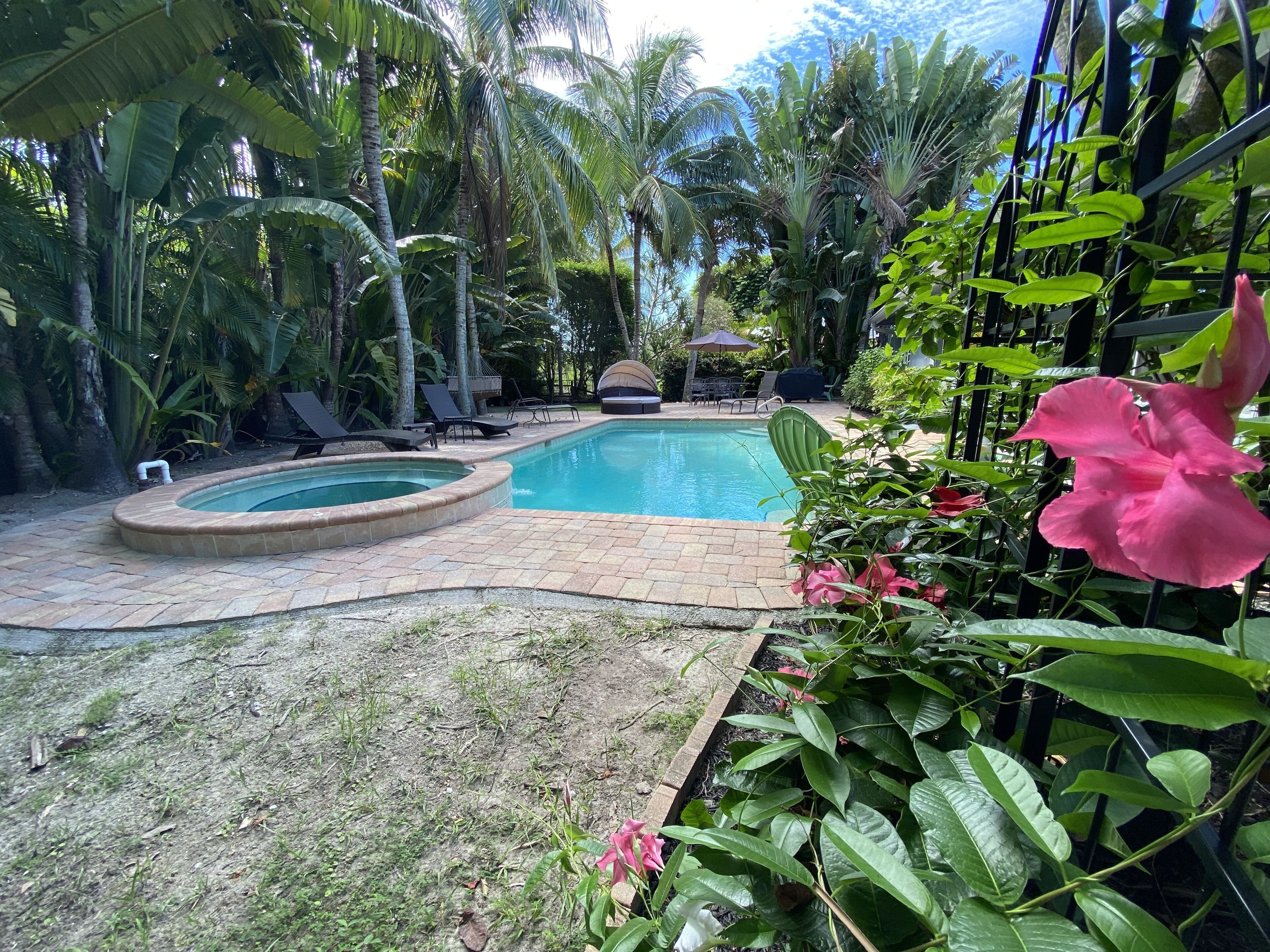 Piscine extérieure, piscine chauffée