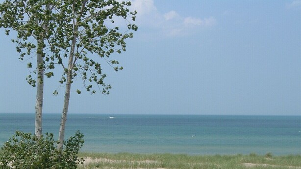 A beach with sand dunes and a tree in the foreground. - BEACHFRONT /HOTTUB/STEAM ROOM/GAME ROOM/JACUZZI/PETS/MASSAGE CHAIR/KAYAKS/BIKES (Michigan City)