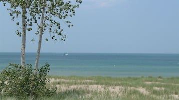 Plage, chaises longues
