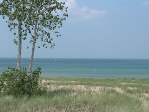 A beach with sand dunes and a tree in the foreground. - BEACHFRONT /HOTTUB/STEAM ROOM/GAME ROOM/JACUZZI/PETS/MASSAGE CHAIR/KAYAKS/BIKES (Michigan City)