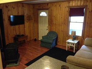 TV, DVD player, books, video library - CABIN #1 WITH LAKE VIEW AT HIGGINS LAKE - TRUE NORTH CABIN RENTALS (Roscommon)