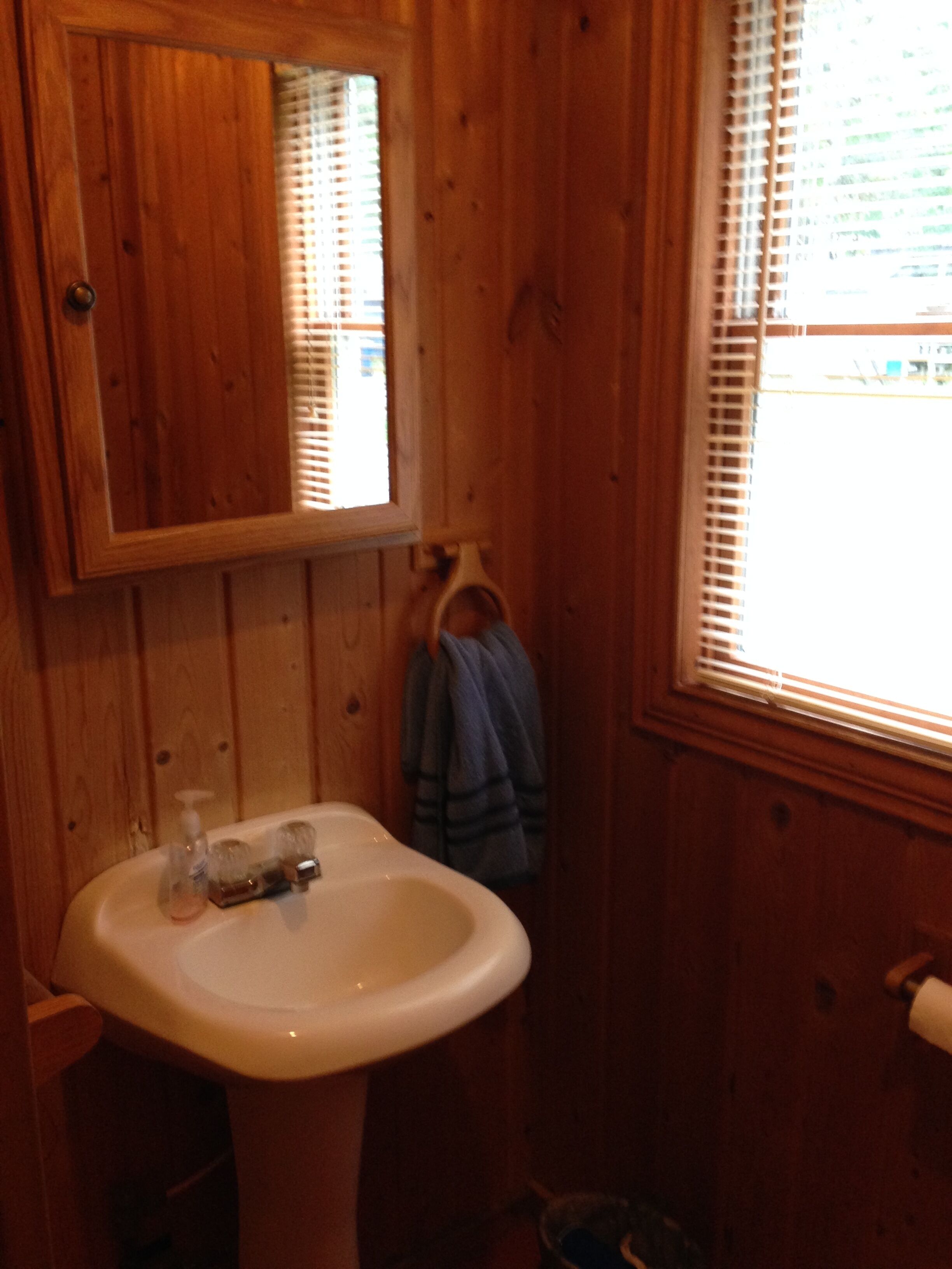 CABIN #1 WITH LAKE VIEW AT HIGGINS LAKE - TRUE NORTH CABIN RENTALS