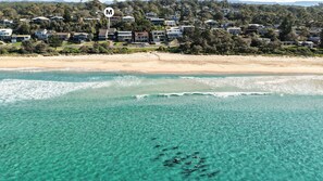 A coastal residential area with houses, clear turquoise waters, and a sandy beach. - Surfers Reef Escape in Mollymook (Mollymook Beach)