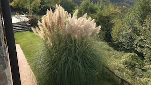 A view of a mountainous landscape with a grassy area and pampas grass in the foreground. - Tuscan Farmhouse in Hills w/Stunning Views - Private Pool, near Barga (Treppignana)