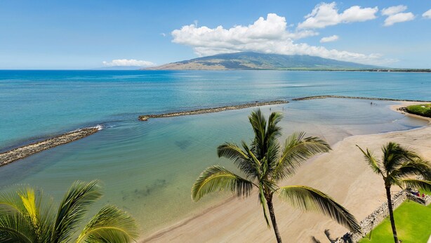 A beach with clear water, palm trees, and a distant mountain.