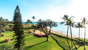 A golf course with a view of the ocean and palm trees.