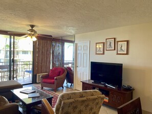 Smart TV, lettore DVD, libri, biblioteca musicale