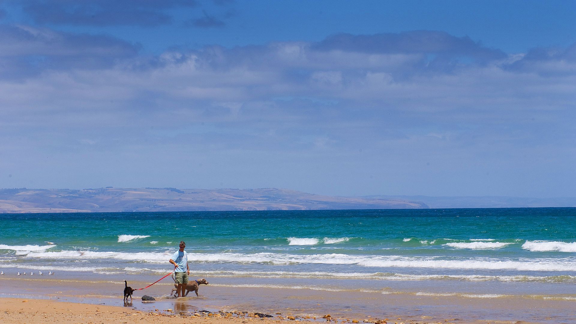 Luxury Spa “Beachfront Moana” — image 18