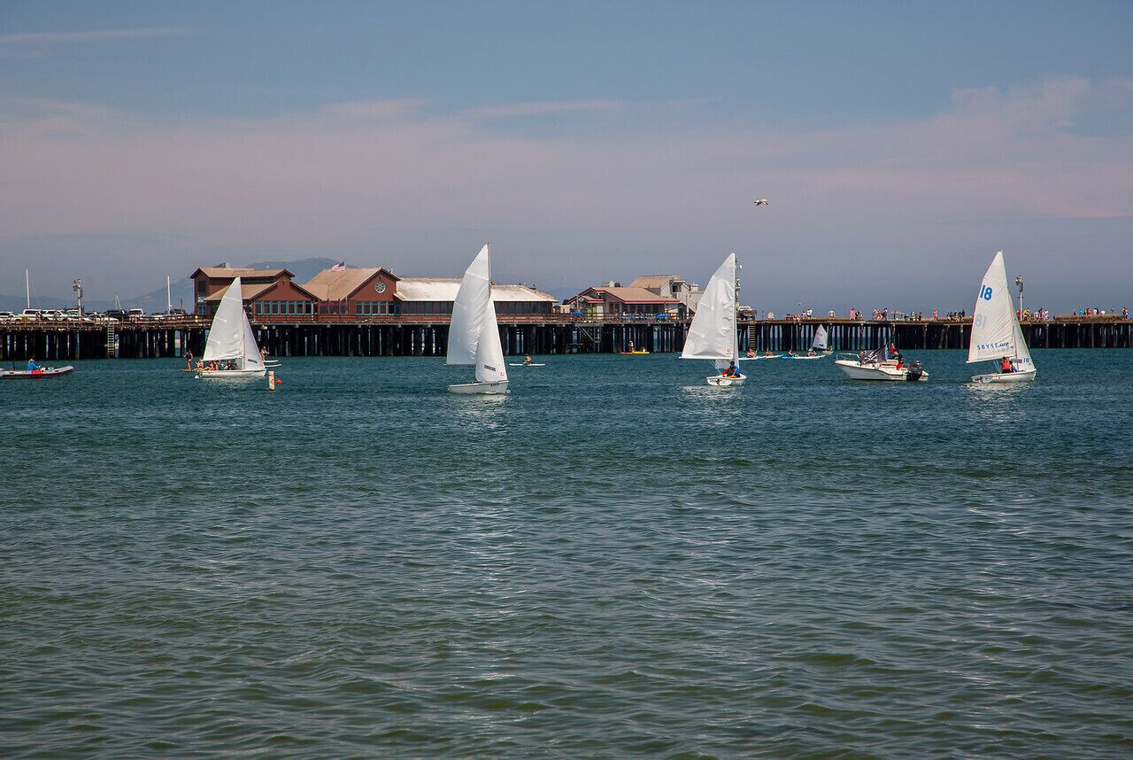 A waterfront scene with multiple sailboats on calm water, a pier with buildings, and a clear sky.