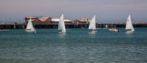 A waterfront scene with multiple sailboats on calm water, a pier with buildings, and a clear sky.