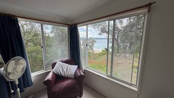 Smart TV, fireplace, DVD player, books