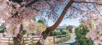 Lexington Park Cottage