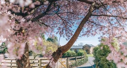 Lexington Park Cottage