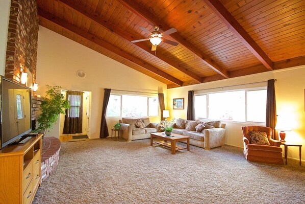 Smart TV, chimenea, videojuegos y Netflix 