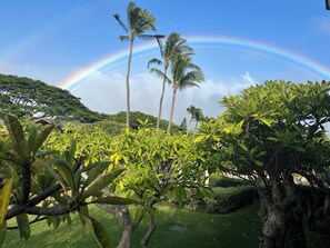 Property grounds - Just steps to the beach Napili Shores Resort OCT LAST MIN DISCOUNT SPECIAL (Lahaina)