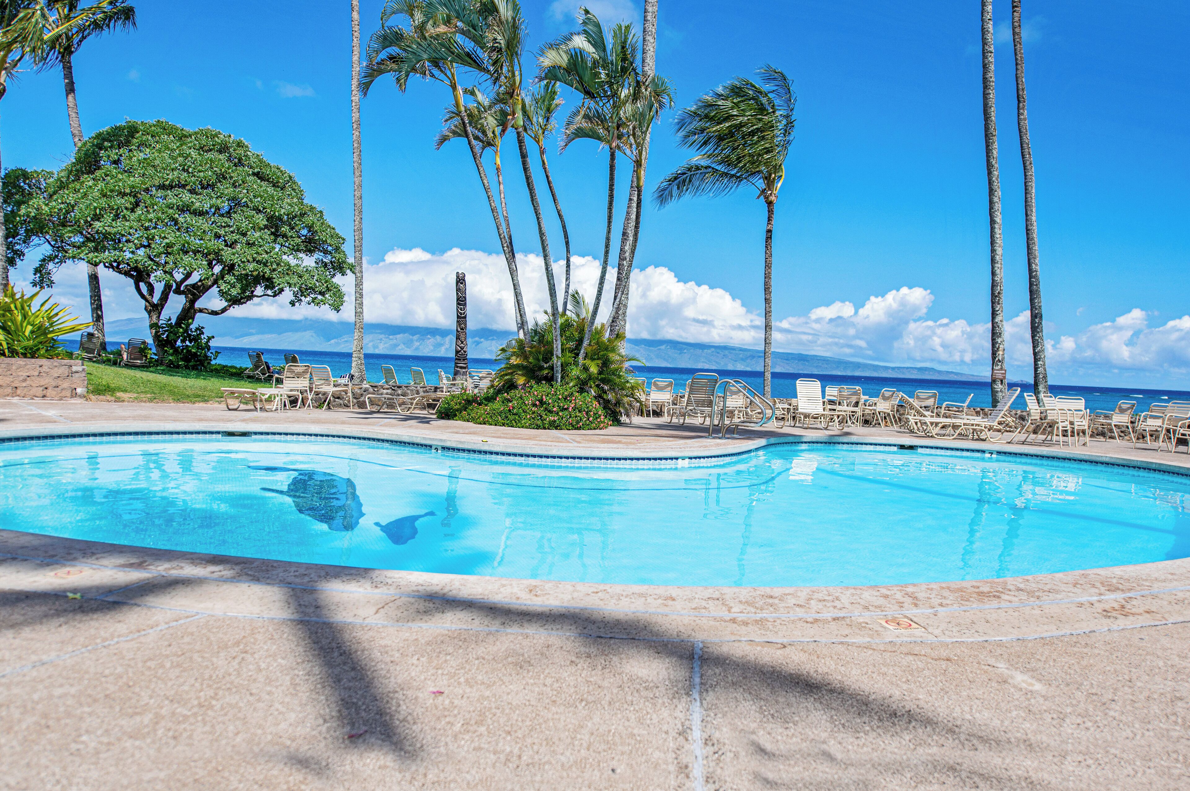 Außenpool, beheizter Pool