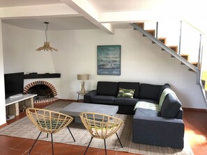 TV, fireplace, books