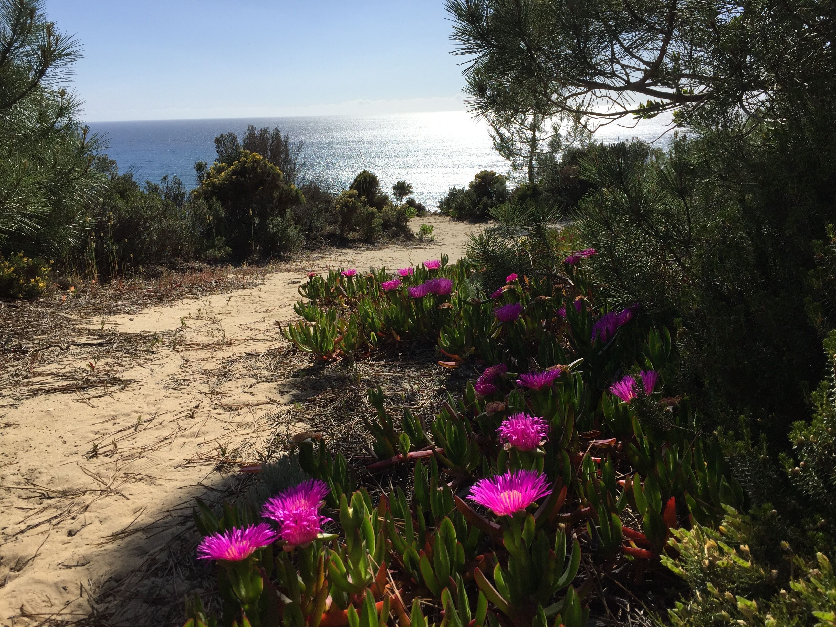 Liegestühle, Strandtücher