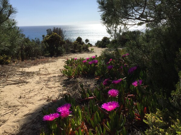 Sun loungers, beach towels