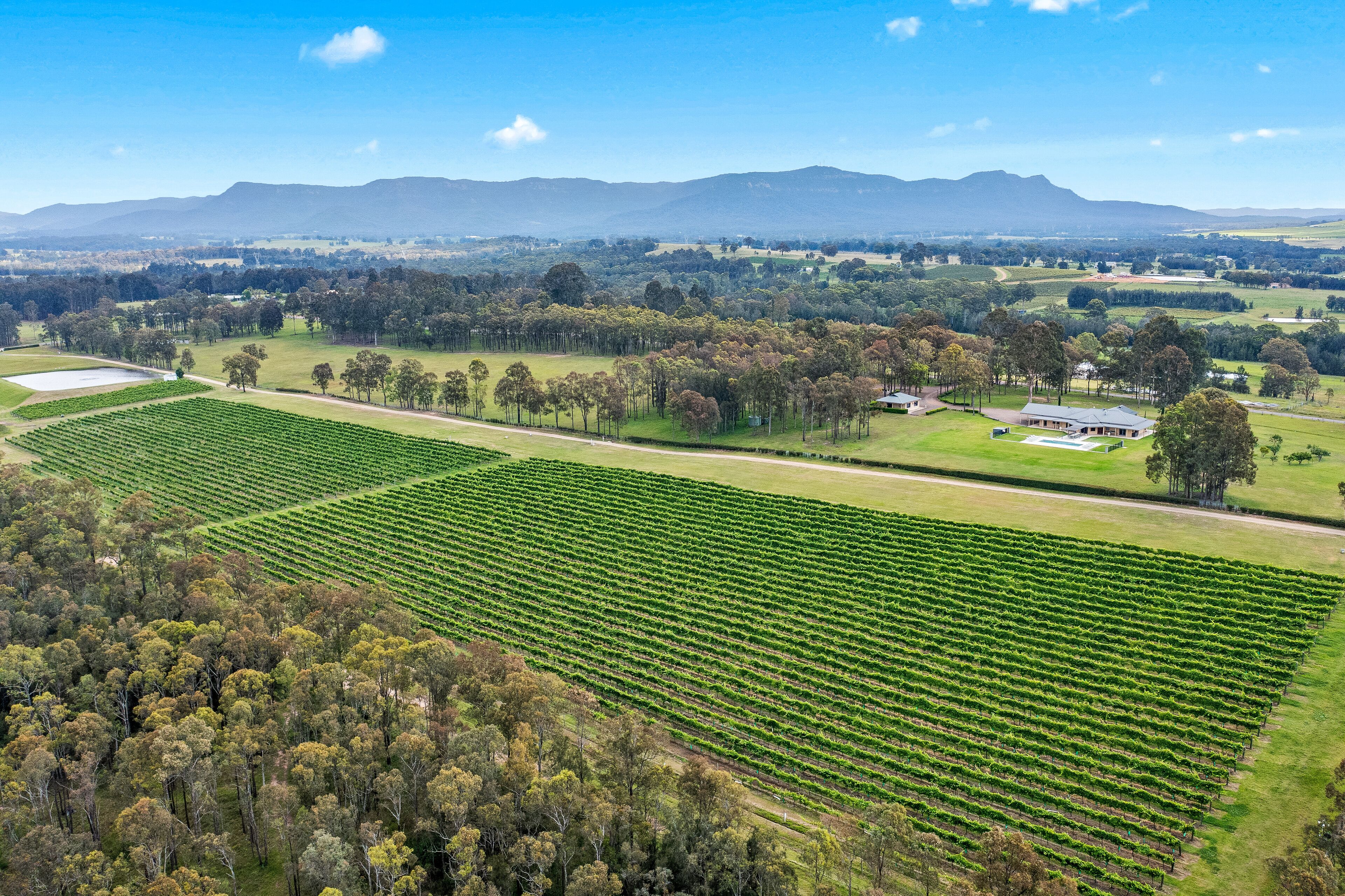 Degen Estate - Luxury group accommodation at its best! — image 4