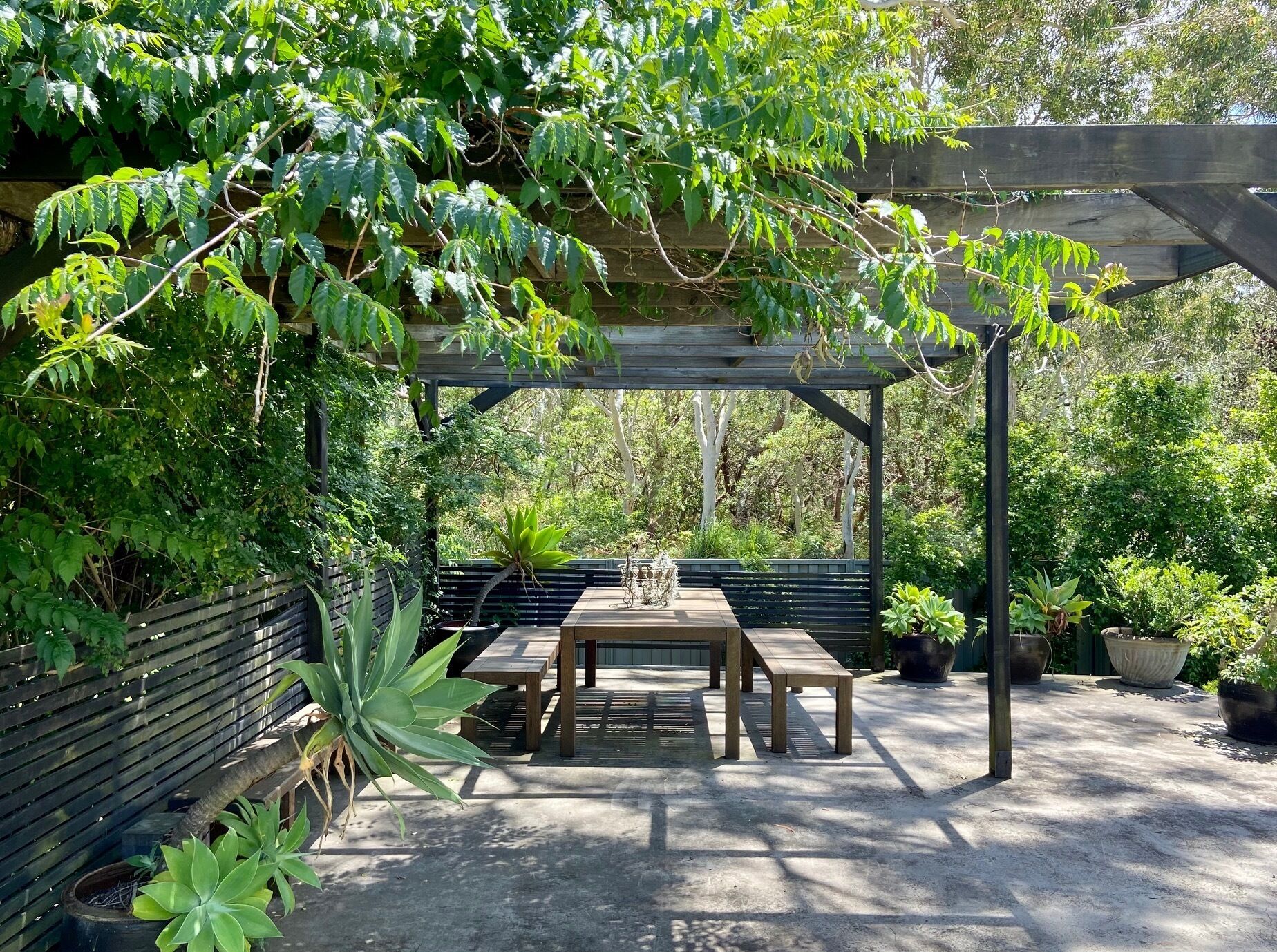 A covered patio with a wooden table and benches, surrounded by lush greenery and potted plants.