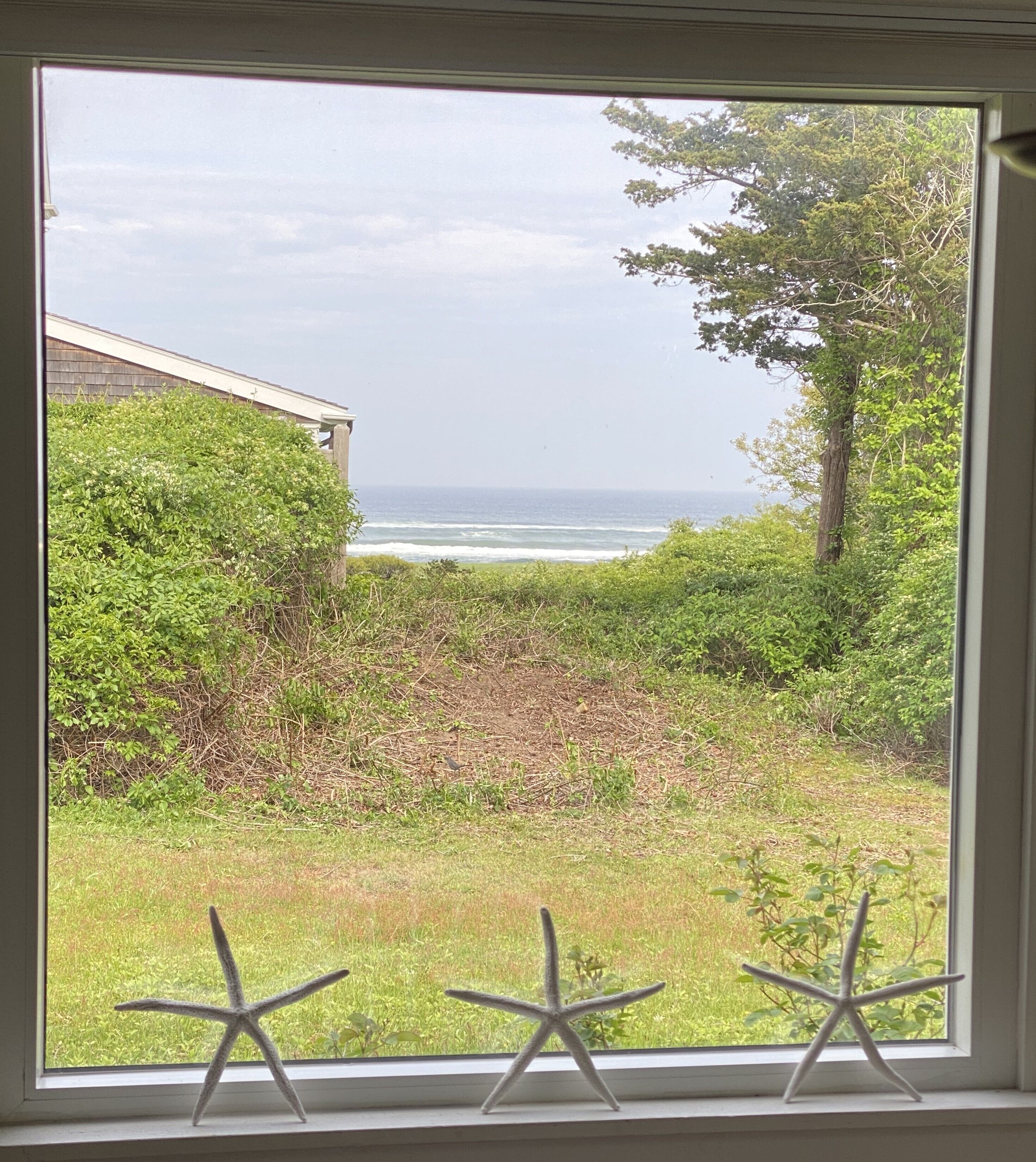 Association Access to Nauset Beach
