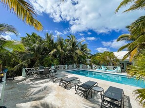 Outdoor pool - Villa Tropica  - Near Grace Bay Beach - Newly Remodelled (Providenciales)