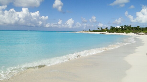 A beach with clear turquoise water, white sand, and a line of trees in the background.