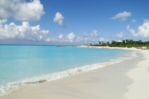 On the beach, sun-loungers, beach towels - Villa Tropica  - Near Grace Bay Beach - Newly Remodelled (Providenciales)