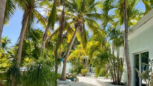 A tropical garden with palm trees and potted plants, a concrete pathway, and a building with large windows.